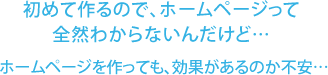 初めて作るので、ホームページって全然わからないんだけど… ホームページを作っても、効果があるのか不安…