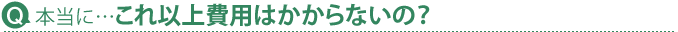 Q.�{����&hellip;����ȏ��p�͂�����Ȃ��́H